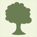 Mossy Forest Light Green